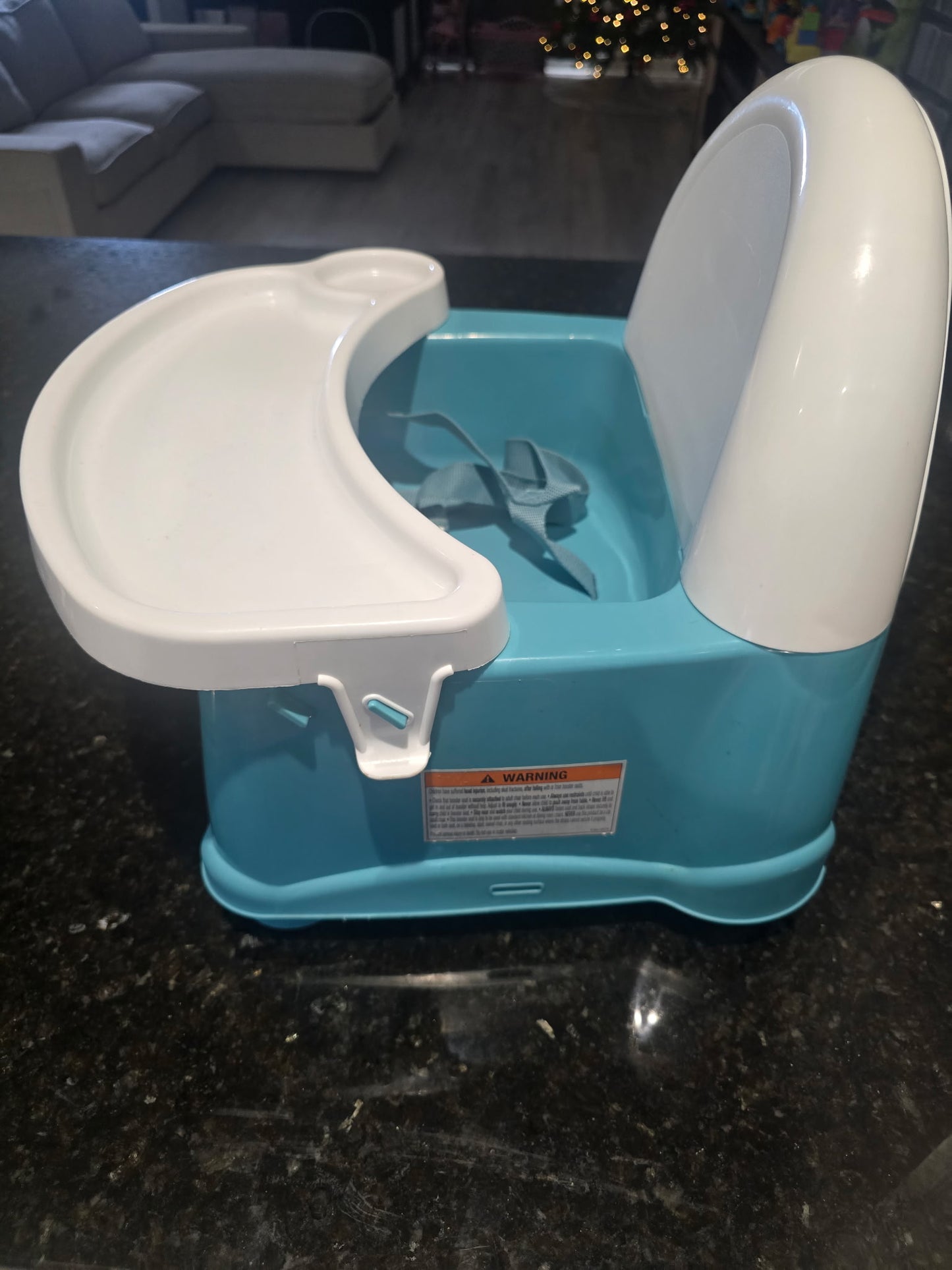 Infant & Toddler Booster Seat with Removable Tray – Teal & White