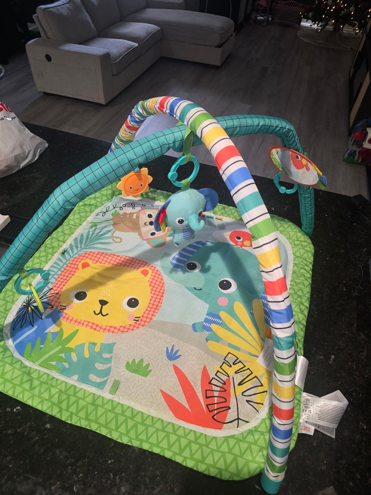Baby Activity Play Mat with Toy Arch – Jungle Animal Tummy Time Gym (Pre-Owned)
