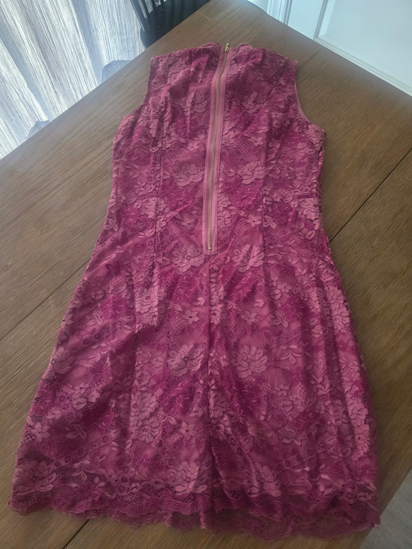 Sharagano  Artless Plum Rose Thicket Lace Overlay Sheath Dress Formal Size 8