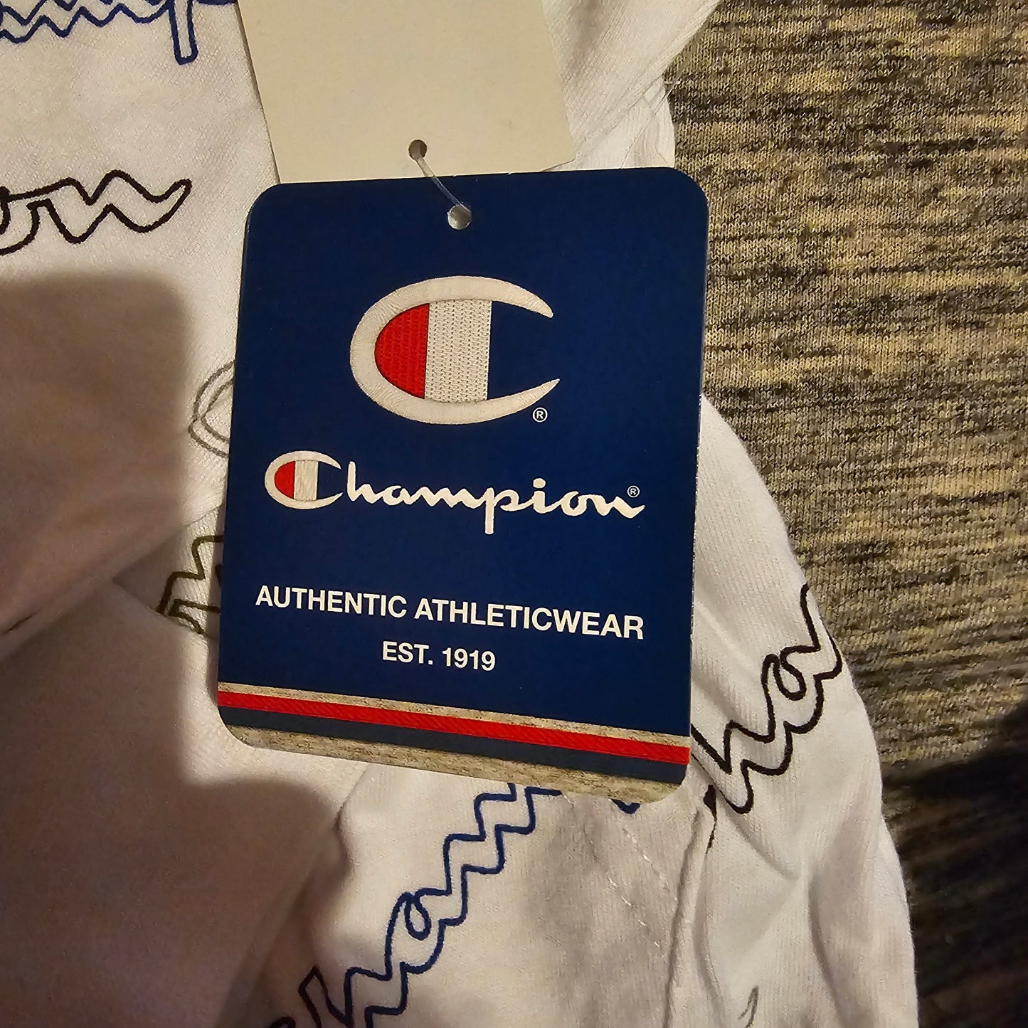 Champion Cozy Tot Hoodie size 4