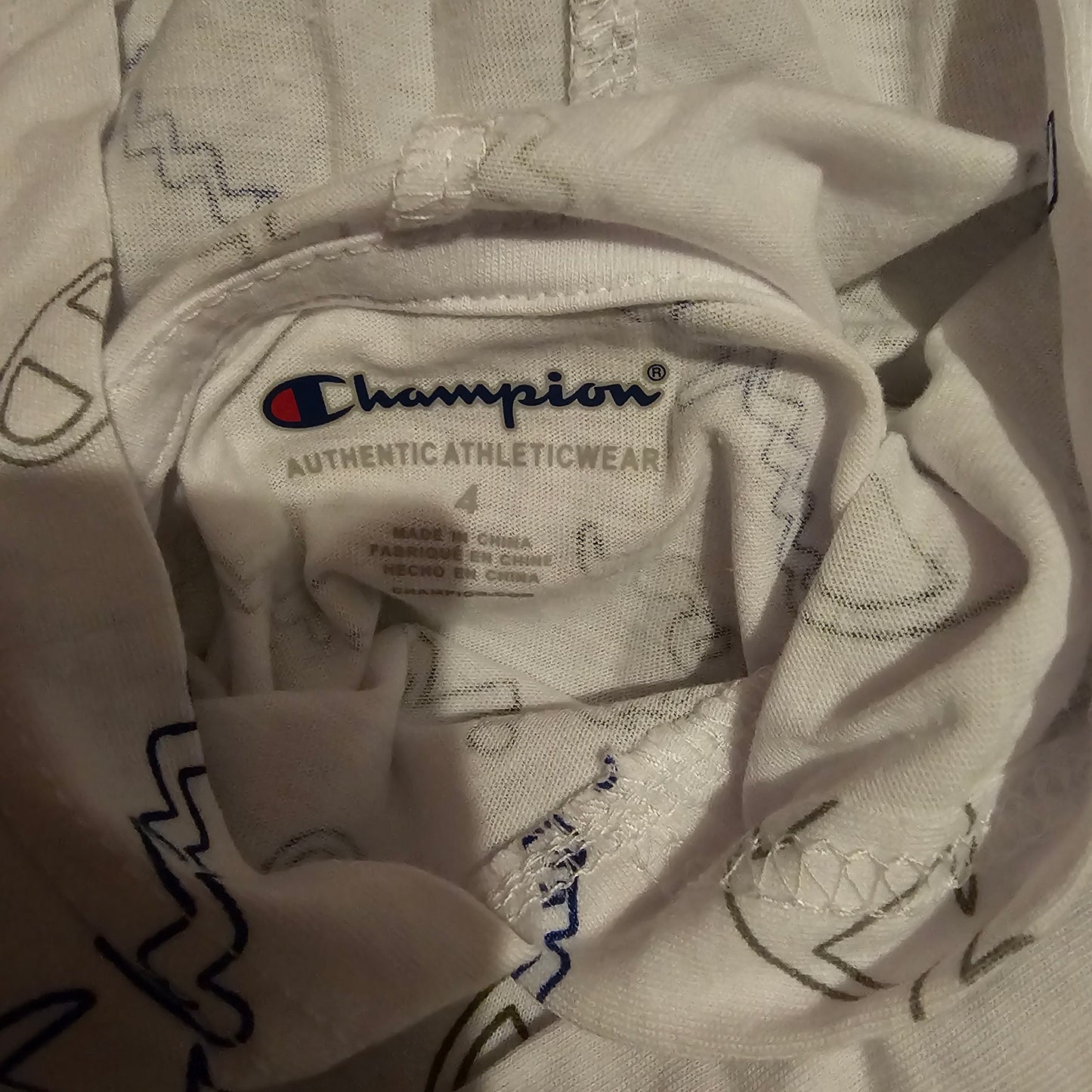 Champion Cozy Tot Hoodie size 4